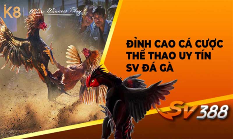 Các ưu điểm sảnh đá gà SV388